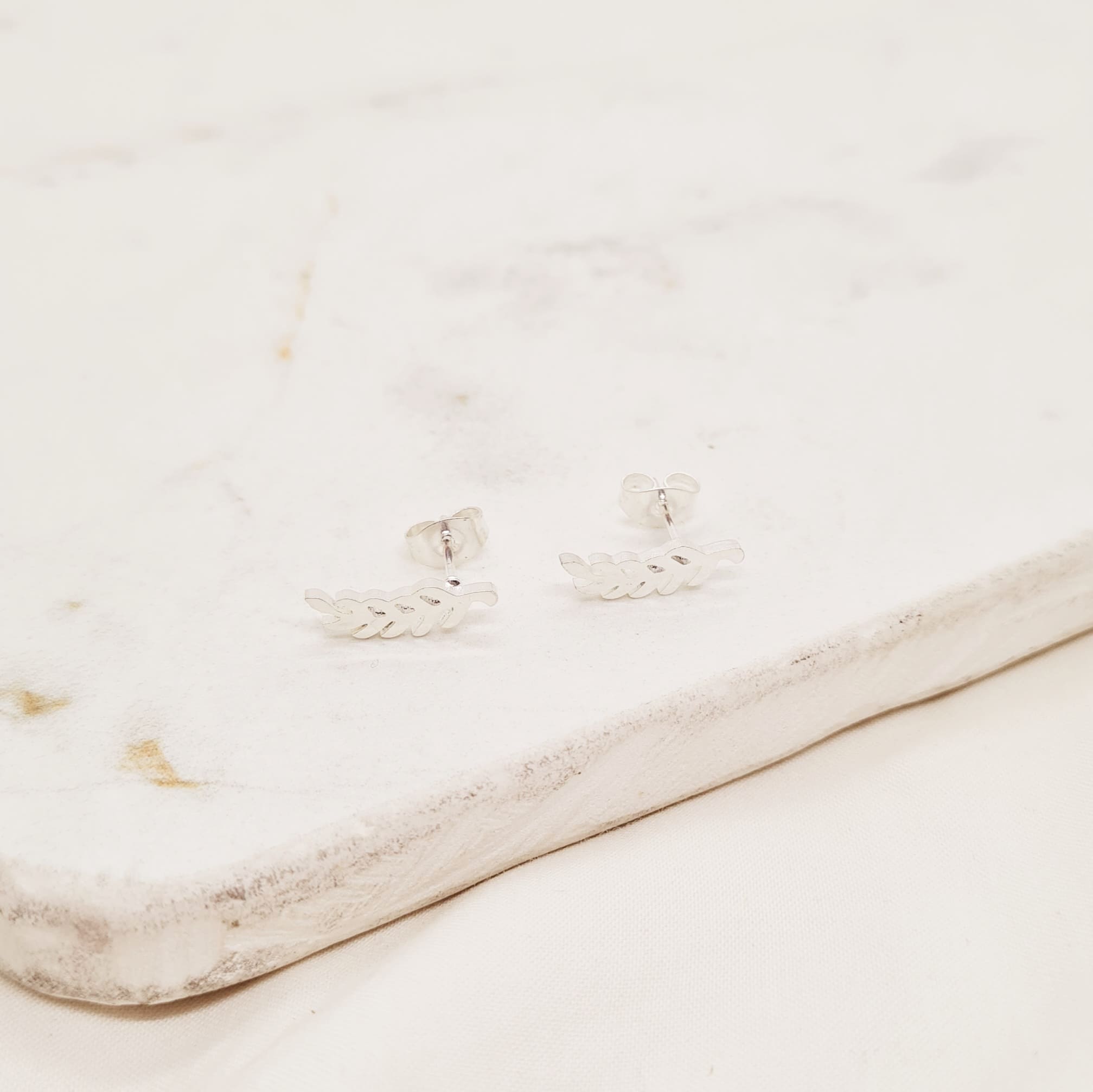 Imagen de producto AROS ACERO BLANCO GRANDE - LAUREL FINO