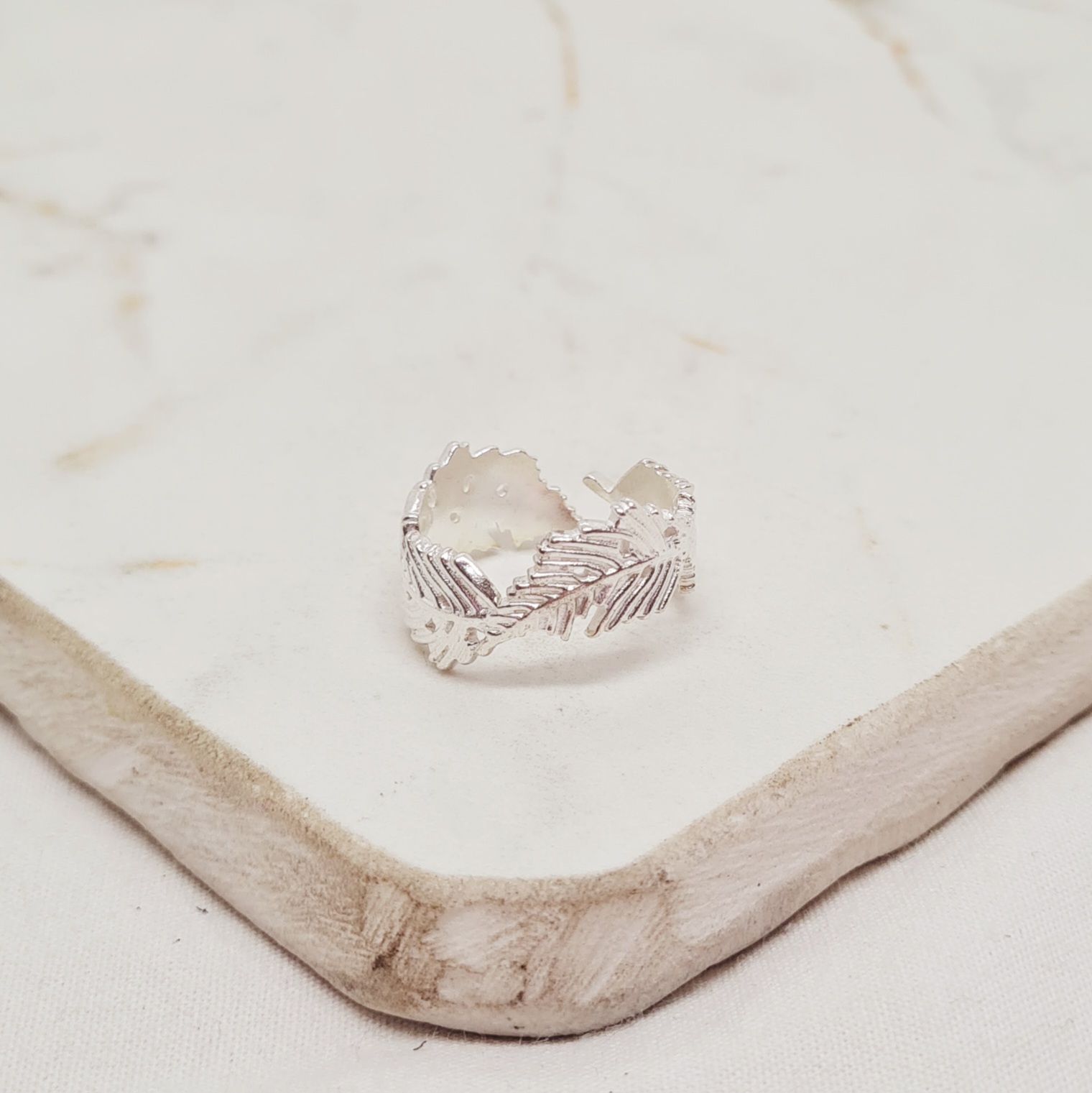 Imagen de producto ANILLO ACERO BLANCO MACIZO - PLUMA